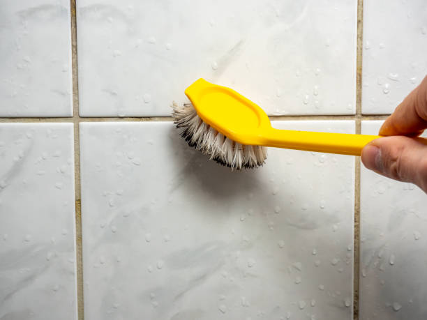 Best Best Mold Removal Companies  in Fayette, IA