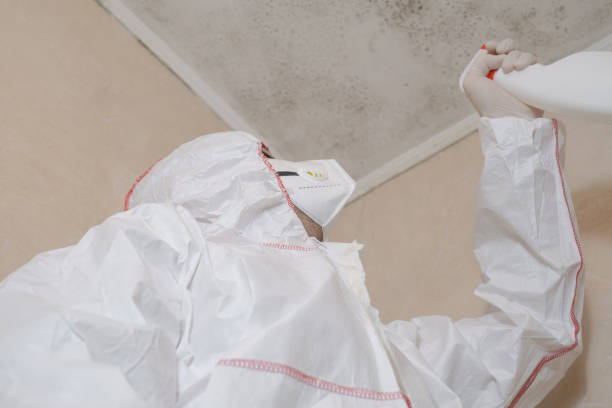 Water Damage Restoration in Fayette, IA