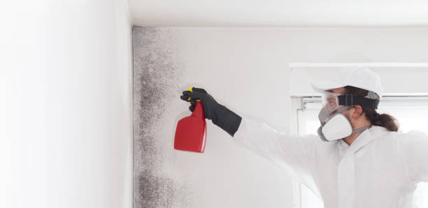 Best Emergency Mold Removal  in Fayette, IA