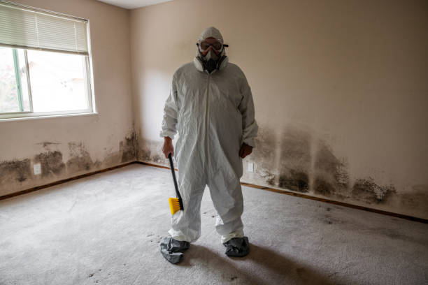 Best Office Mold Removal Services  in Fayette, IA